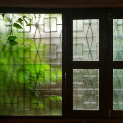 Slyvian window