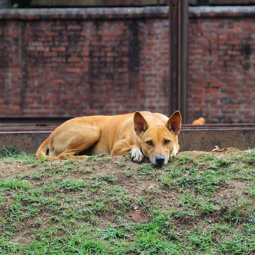 Photo #2347812