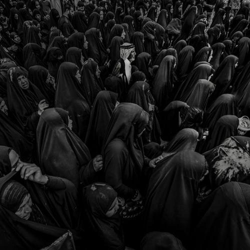 Crowds