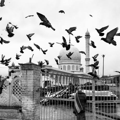 Prayer and protest