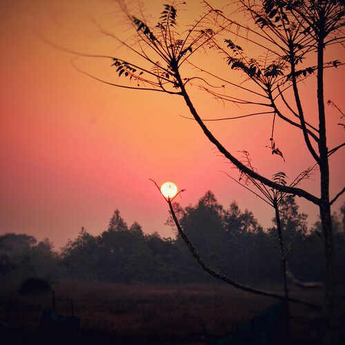 A sunshine to life