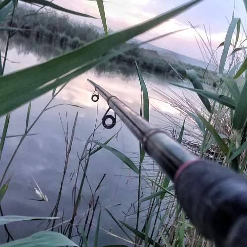 Photo #2350032