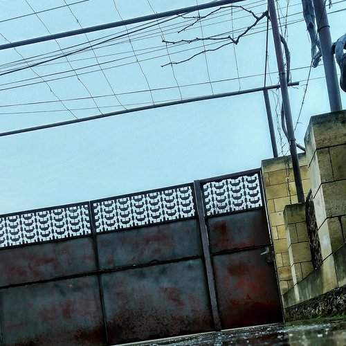 Photo #2350037