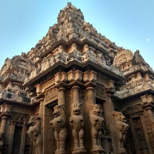 The Temple Top