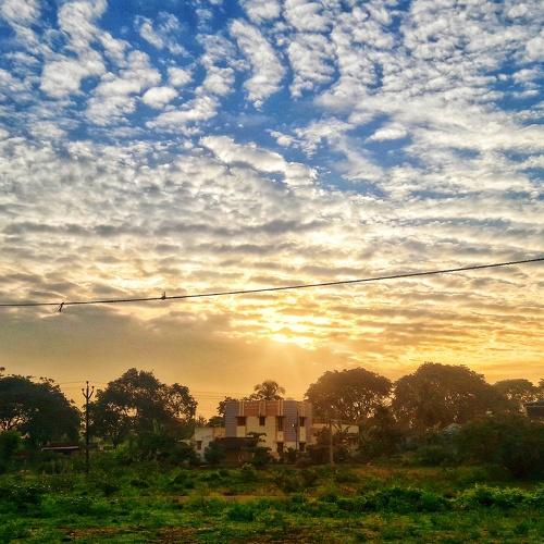 Morning bliss