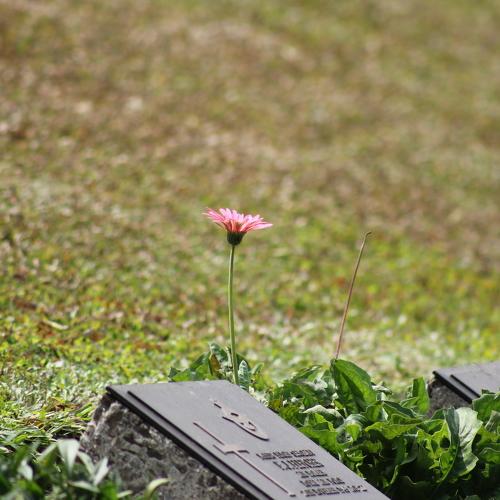 Death