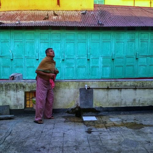 Man looking for pigeons