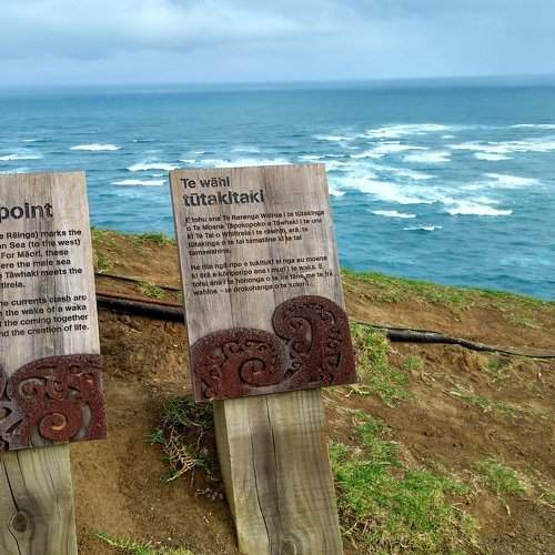Photo #2351854
