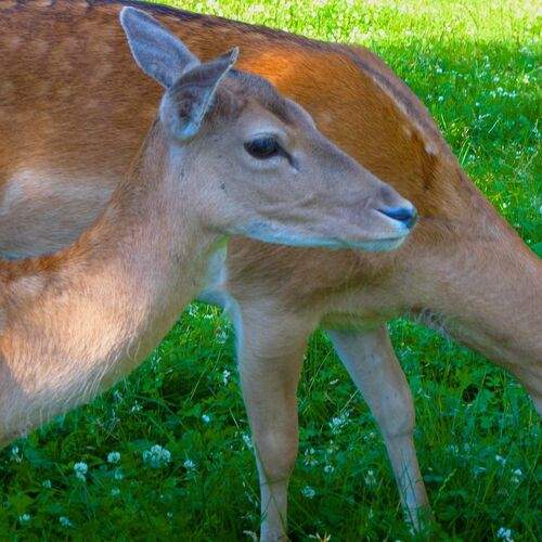 Photo #2352653