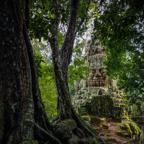 Ancient Smile of Angkor Wat