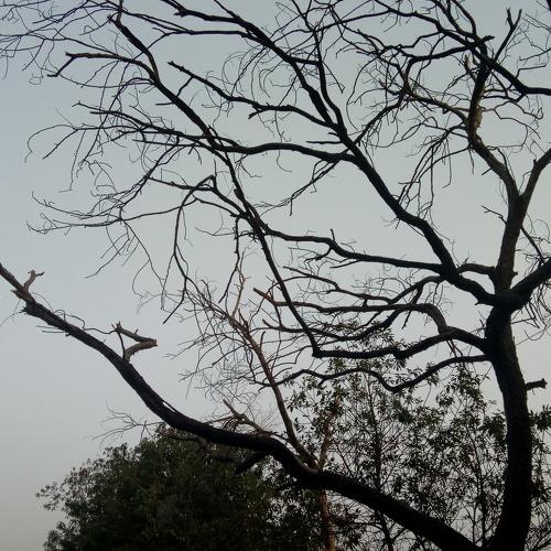Dream click