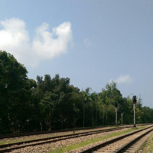 Photo #2353450
