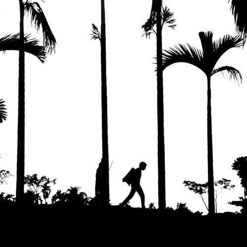 walker