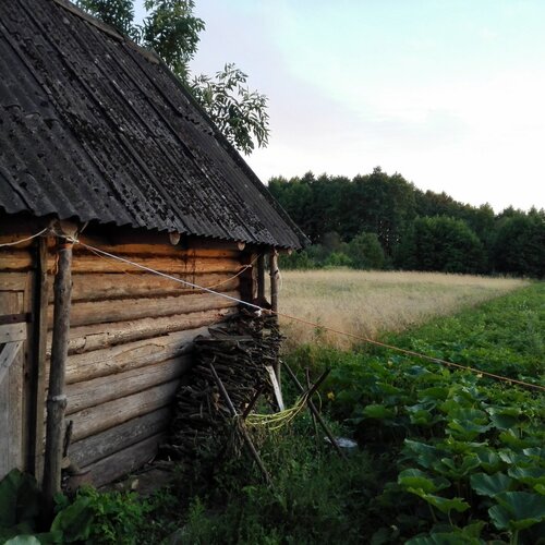 Умиротворенность