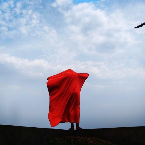 Freedom Seeker