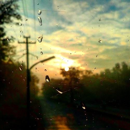 Drops on glass