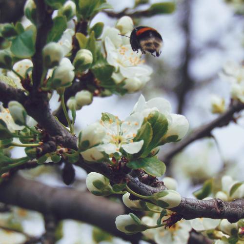Photo #2355744