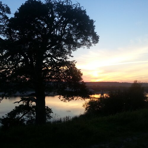 Photo #2355854