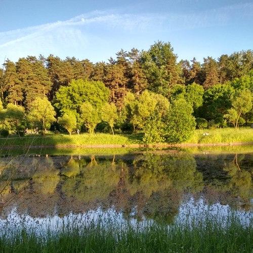 Photo #2355951