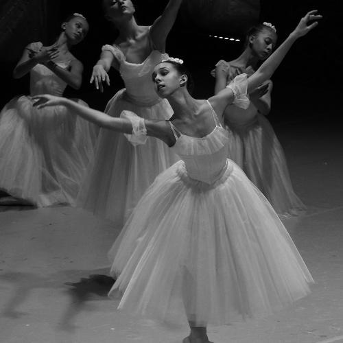 Photo #2356116