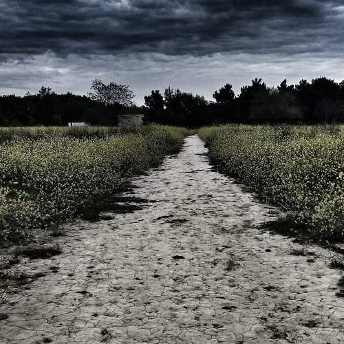Photo #2356527