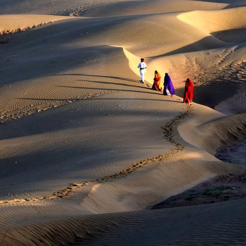 Desert Walk