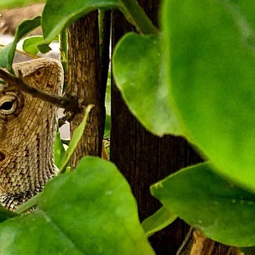 Hide and seek