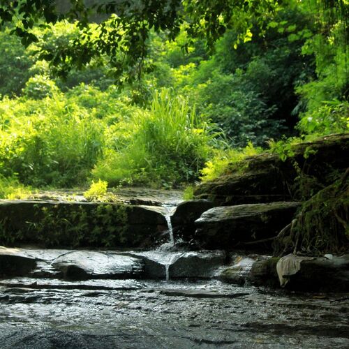 essence of nature