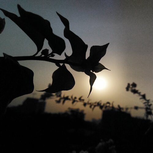 Sunset stories