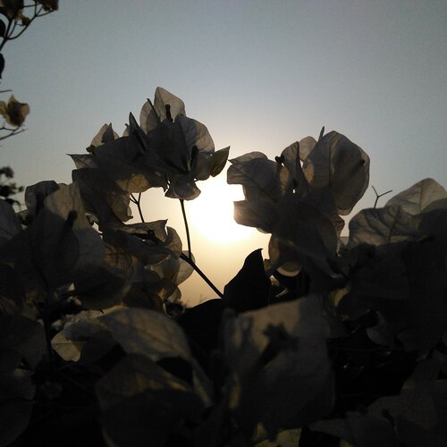 Sunset stories
