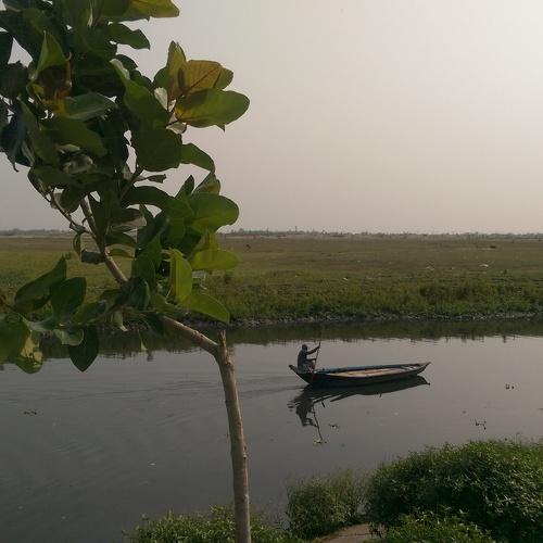 Photo #2360081