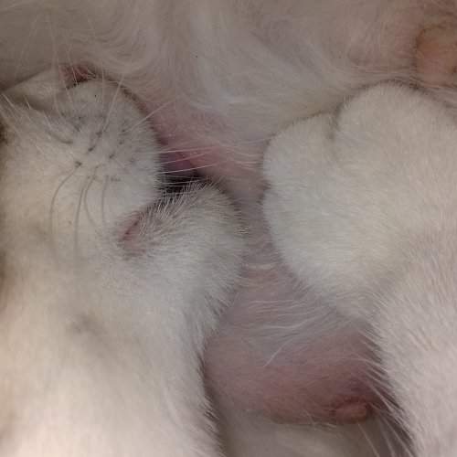 Photo #2360654