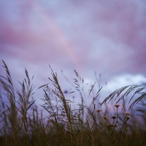 Photo #2360876