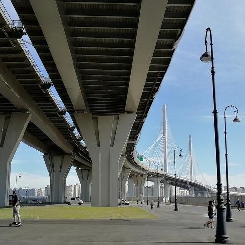 Photo #2361291