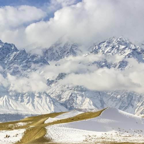 Snow Desert