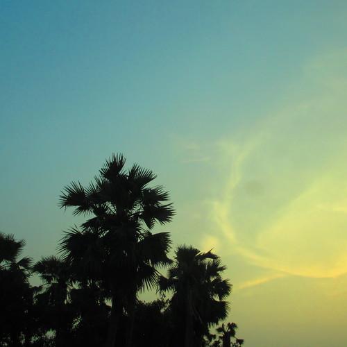 Blue Sky