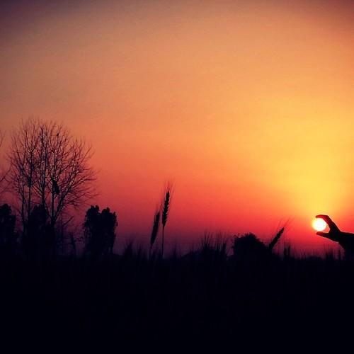 Landscape sunrise