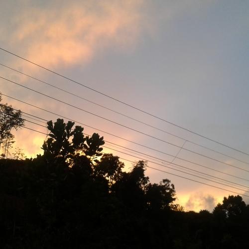 Nature and Landscape