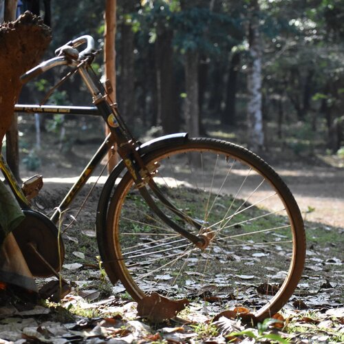 Old Bicycle