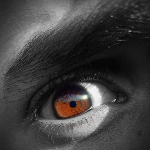 My Eye