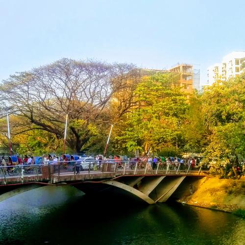 Inter city lake bridge