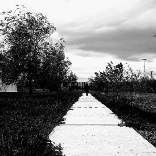 Photo #2364316