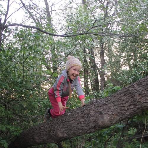 Photo #2364347