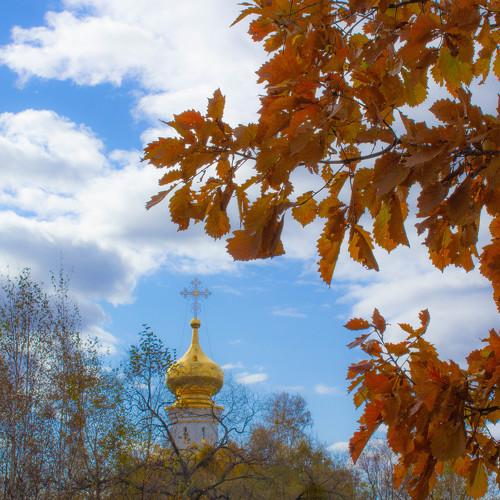 Осенний парк