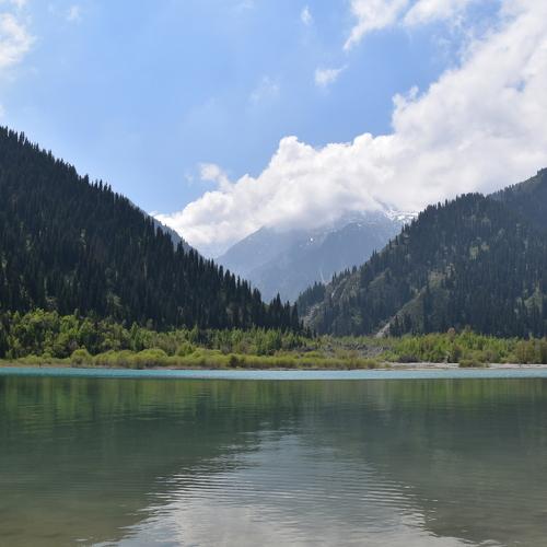 Photo #2365591