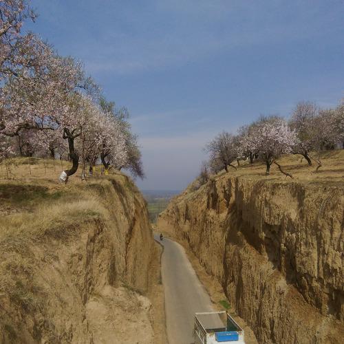 Spring in Kashmir