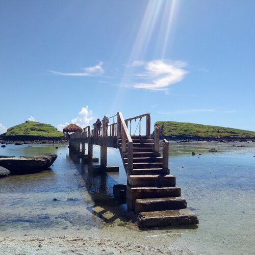 Photo #2366604