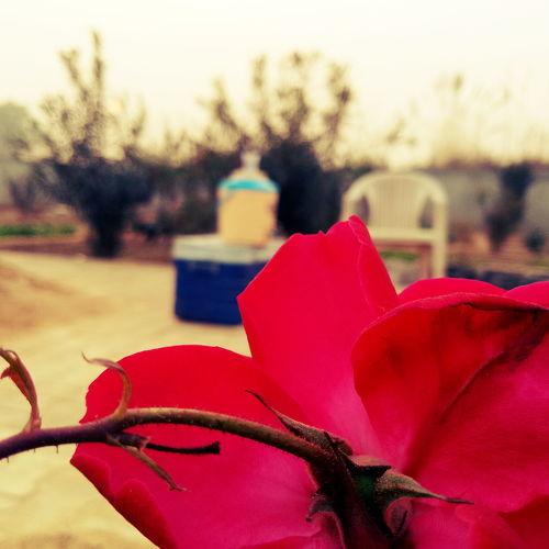 Nature ♥