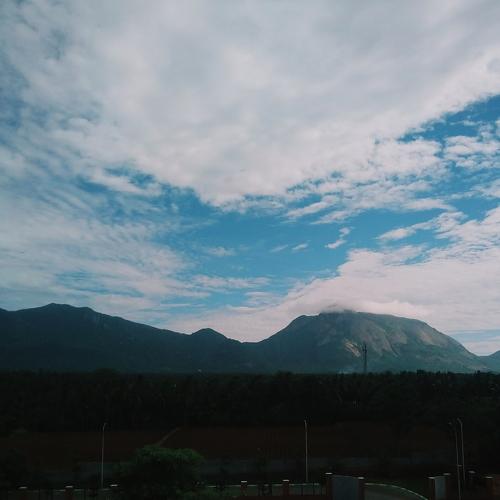 Nature's beauty