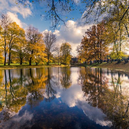 Autumn colors
